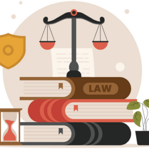 International Law (Criminal Law, Commercial Law, Environmental Law & More!)